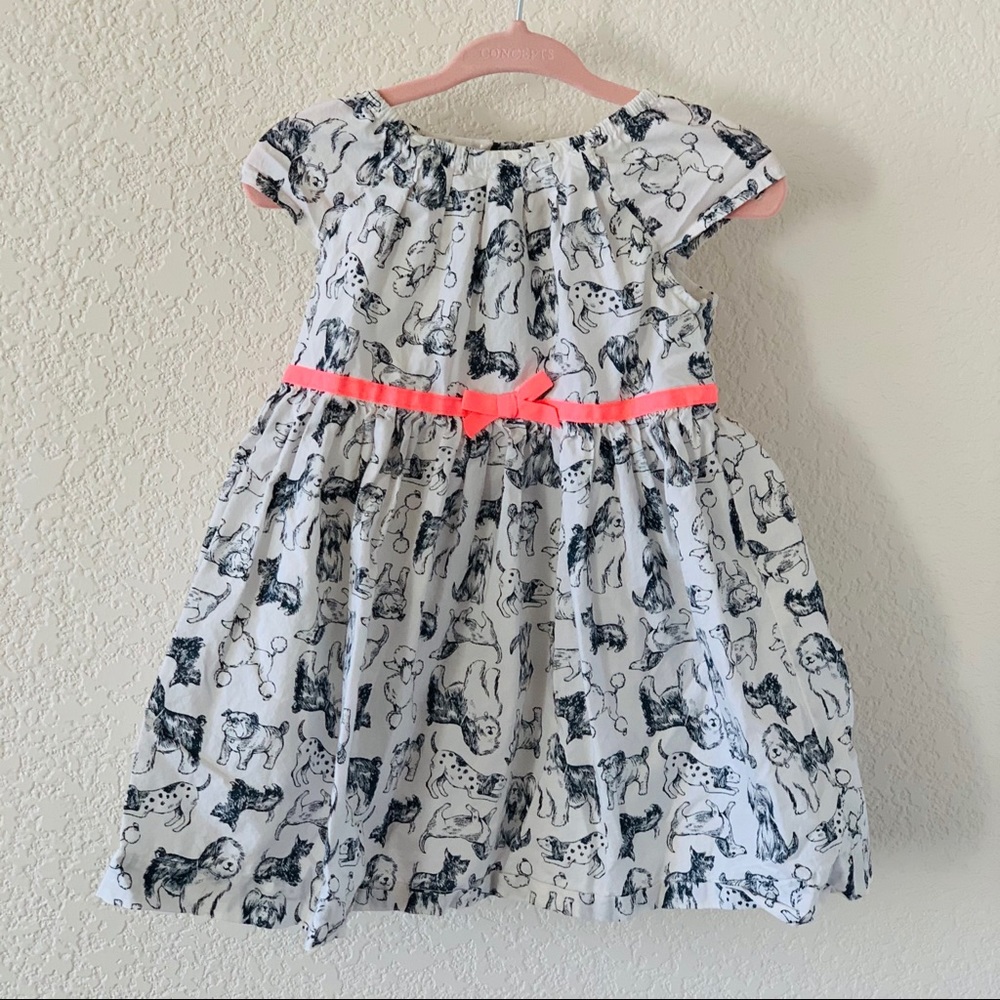 Baby girl dress